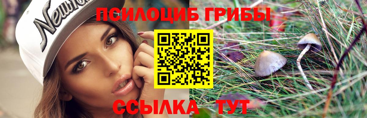 Галлюциногенные грибы MAGIC MUSHROOMS Трёхгорный